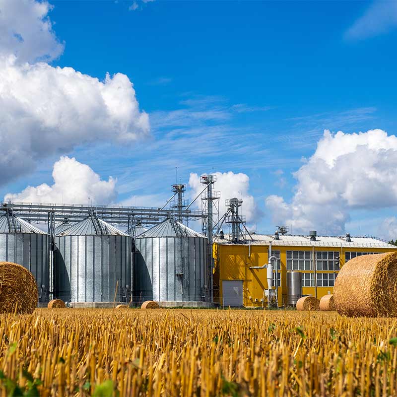 Realizzazione tubi su disegno con curvature e materiali personalizzati | Realizzazione tubi per macchinari del settore agroalimentare